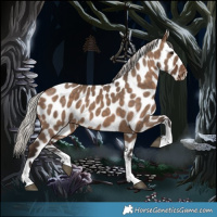 Horse Color:Silver Brown Dun Sabino Tobiano Leopard Rabicano