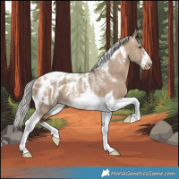 Horse Color:Powder White Silver Brown Dun Tobiano Frame Appaloosa Rabicano