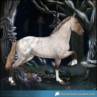 Horse Color:Liver Red Dun Roan Tobiano Appaloosa 