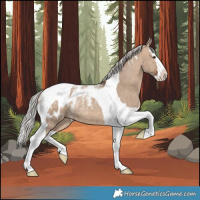 Horse Color:Powder White Silver Brown Dun Splash Tobiano Blanket Rabicano 