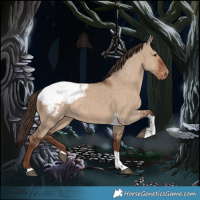 Horse Color:Liver Red Dun Tobiano Snowcap