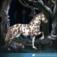 Horse Color:White Spotted Liver Red Dun Tobiano Appaloosa 