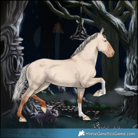 Horse Color:Silver Amber Champagne Dun Tobiano Appaloosa 