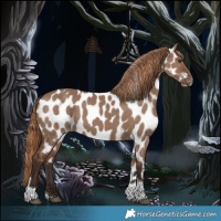 Horse Color:Liver Red Dun Tobiano Appaloosa