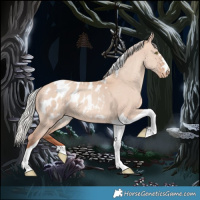 Horse Color:Silver Amber Champagne Dun Tobiano Appaloosa