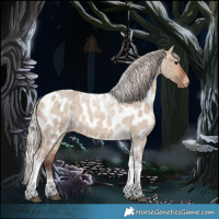 Horse Color:Silver Bay Roan Dun Tobiano Appaloosa 