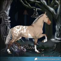 Horse Color:Silver Brown Dun Tobiano Blanket 