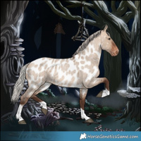 Horse Color:Silver Bay Roan Dun Tobiano Appaloosa 
