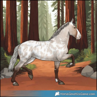 Horse Color:White Spotted Silver Brown Roan Dun Frame Appaloosa Rabicano