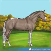 Horse Color:Silver Grullo Tobiano 