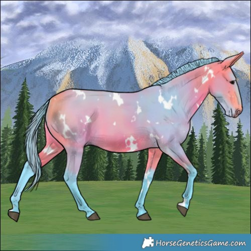 Horse Color:Watercolor White Spotted Buckskin