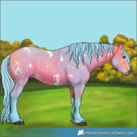 Horse Color:Watercolor White Spotted Buckskin