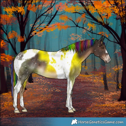 Horse Color:Painted Liver Chestnut Tobiano 