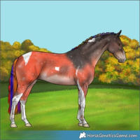 Horse Color:Painted White Spotted Liver Chestnut Tobiano 