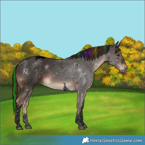 Horse Color:Void Painted White Spotted Liver Chestnut Tobiano 