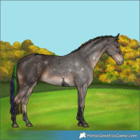 Horse Color:Void Painted White Spotted Liver Chestnut Tobiano 