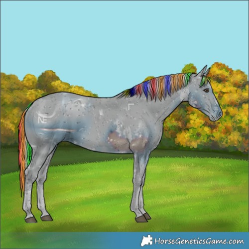 Horse Color:ERROR: UNKNOWN ANOMALY