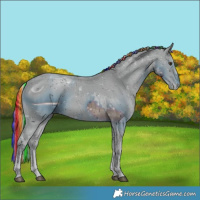 Horse Color:ERROR: UNKNOWN ANOMALY