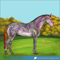 Horse Color:Painted White Spotted Bay Ice