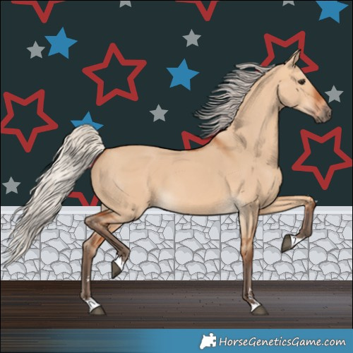 Horse Color:Silver Bay Dun 