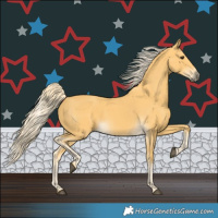 Horse Color:Palomino