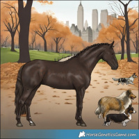 Horse Color:Liver Chestnut 