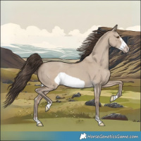 Horse Color:Classic Champagne Dun Frame 