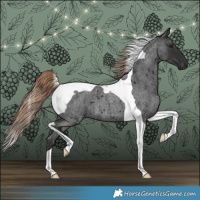 Horse Color:Liver Red Roan Tobiano 