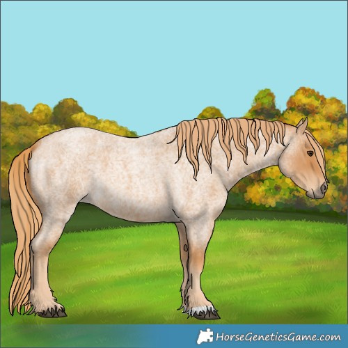 Horse Color:Red Roan