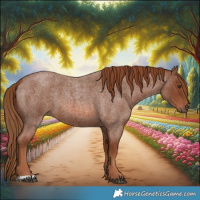 Horse Color:Red Roan