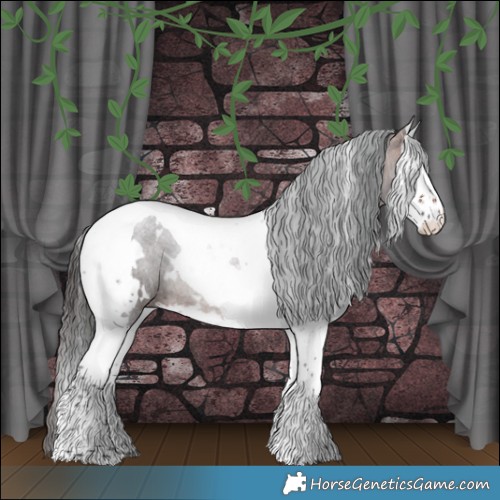 Horse Color:White Spotted Brown Splash Tobiano 