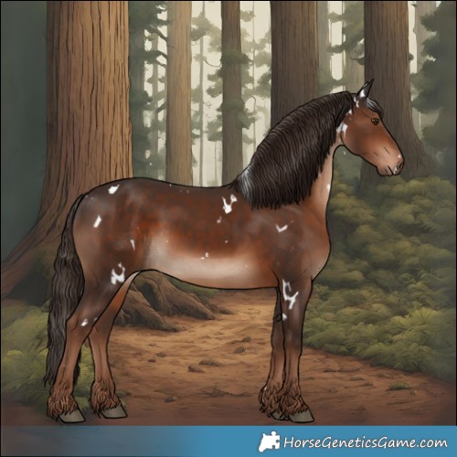 Horse Color:White Spotted Liver Chestnut Rabicano 