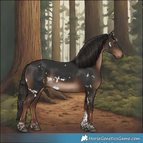 Horse Color:White Spotted Liver Chestnut Tobiano Rabicano 