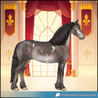 Horse Color:Platinum White Spotted Liver Chestnut Rabicano