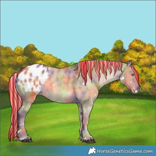 Horse Color:Painted Nacre White Spotted Chocolate Palomino Dun Blanket 