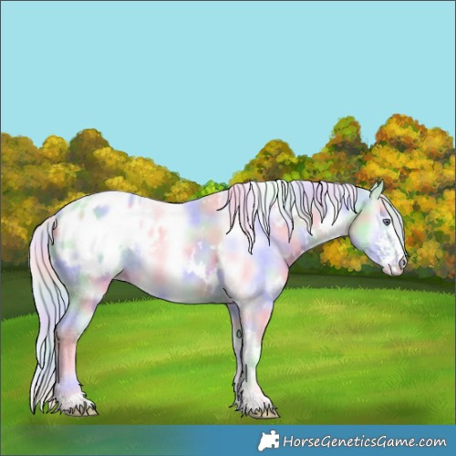 Horse Color:Nacre White Spotted Liver Red Dun Chinchilla Sabino Blanket 