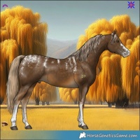 Horse Color:Powder White Chocolate Palomino Mushroom