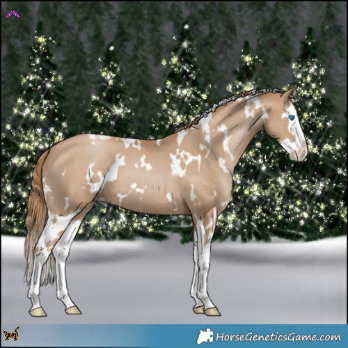 Horse Color:White Spotted Black Pearl Splash 