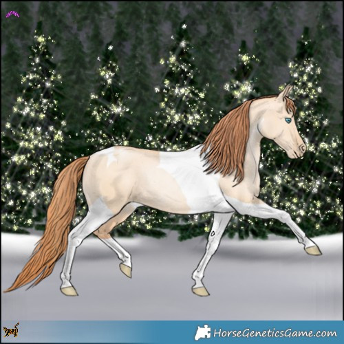 Horse Color:Amber Champagne Pearl Dun Tobiano Rabicano