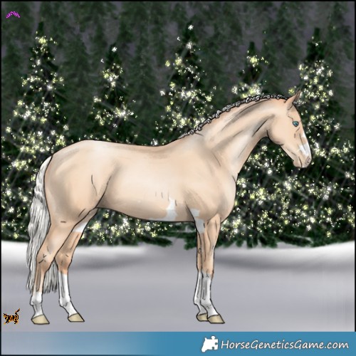 Horse Color:Silver Amber Champagne Pearl