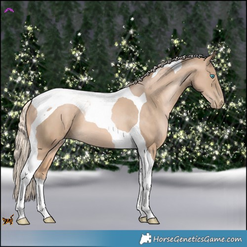 Horse Color:Chocolate Palomino Pearl Tobiano 