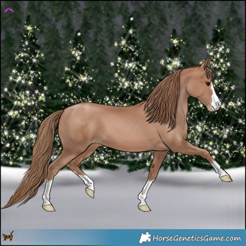 Horse Color:Black Pearl