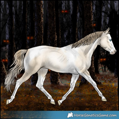 Horse Color:Sable Cream Champagne Pearl Splash Tobiano 