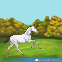 Horse Color:Bay Snowdrop Tobiano Near Fewspot Rabicano 