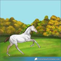 Horse Color:Bay Snowdrop Dun Tobiano Near Fewspot Rabicano 