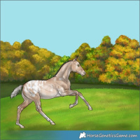 Horse Color:White Spotted Silver Brown Snowdrop Dun Tobiano Blanket Rabicano 