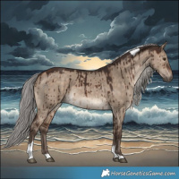 Horse Color:Silver Brown Dun Tobiano Brindle 