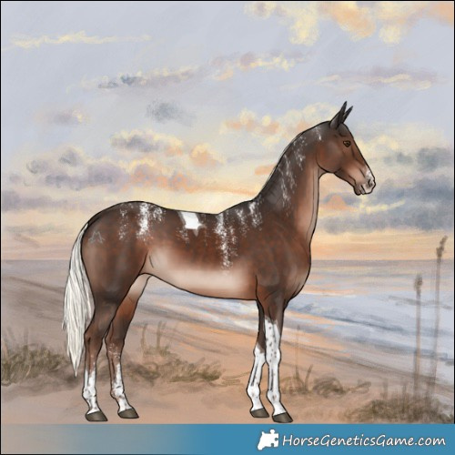 Horse Color:Powder White Liver Chestnut Mushroom Tobiano 