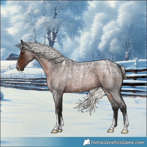 Horse Color:Powder White Liver Red Roan Mushroom 