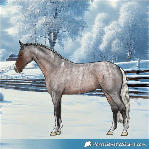 Horse Color:Powder White Liver Red Roan Mushroom 